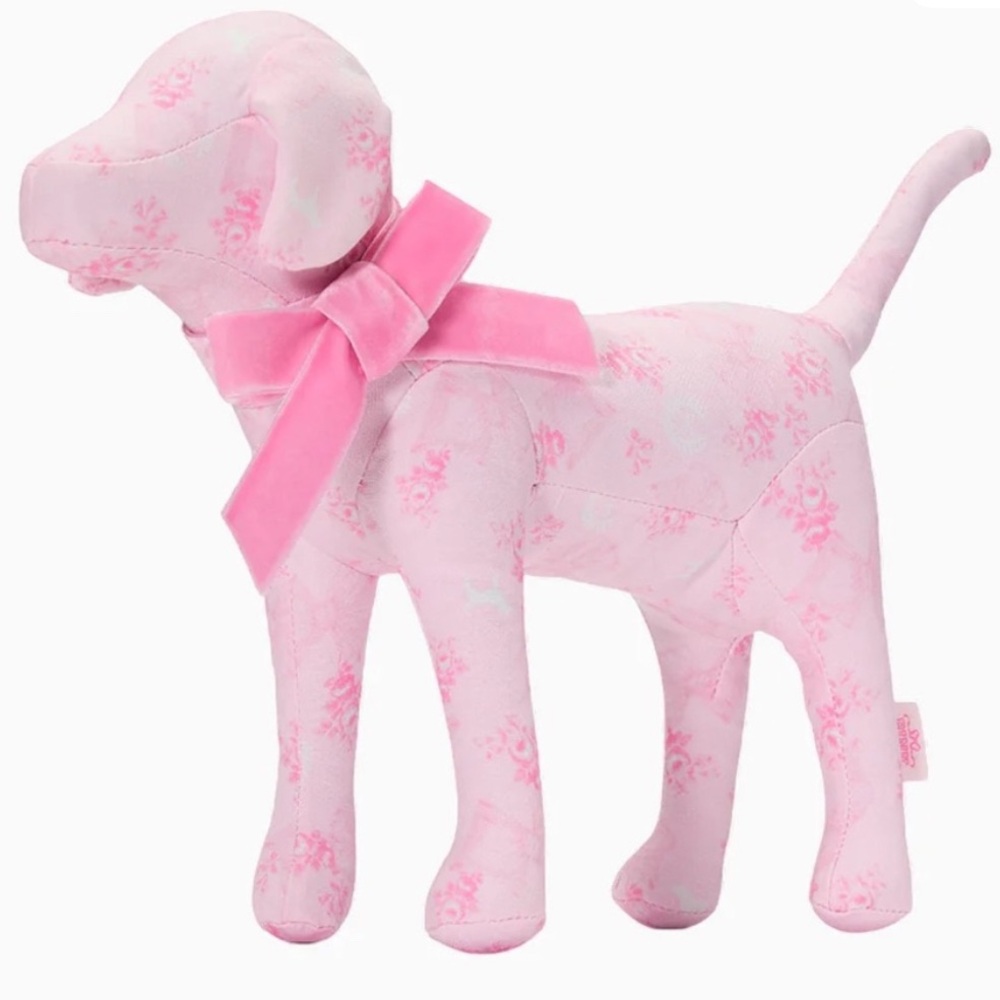 🎉Host Pick!🎉Pink x LoveShackFancy Limited Edition Dog
